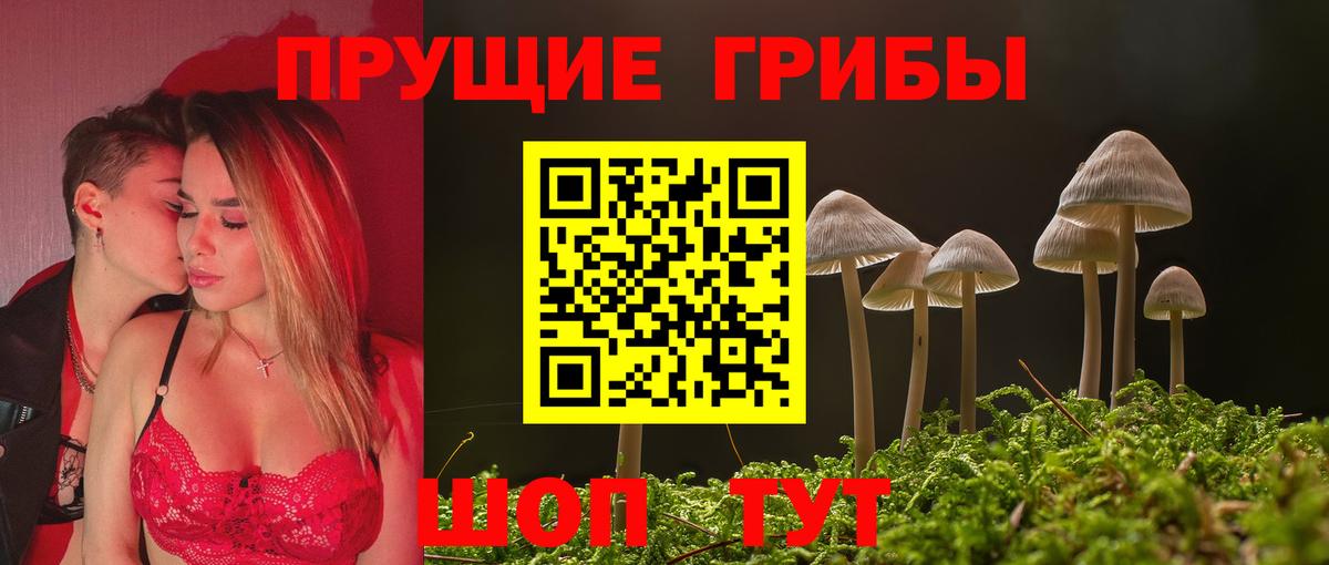 Псилоцибиновые грибы Magic Shrooms  Псилоцибиновые грибы GOLDEN TEACHER  Михайловск  Вход с VPN 