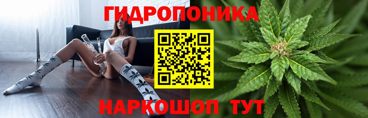 Конопля White Widow  МАРИХУАНА конопля  Бошки Шишки VHQ  Вход с VPN  Михайловск 